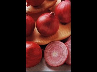 Prof. Bianchi - La Capocchia Rossa