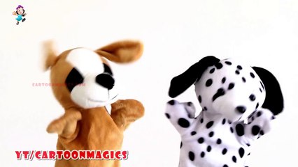 Alphabet Songs ABC Songs for Children - Funny Puppy Dog & Cute Dog puppets
