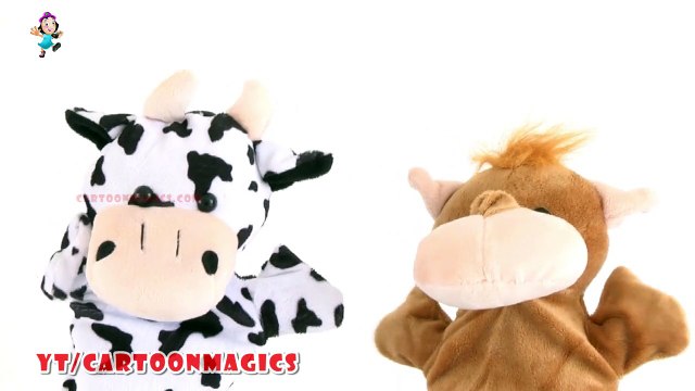 Baa Baa Black Sheep - Funny Cattle cow - Hippopotamus puppets