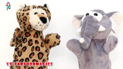 Alphabet Songs ABC Songs for Children  - Funny Tiger & Elephant puppets Songs Learning English Kids