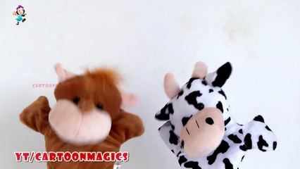 Alphabet Songs ABC Songs for Children - Funny Hippopotamus - Cattle cow puppets