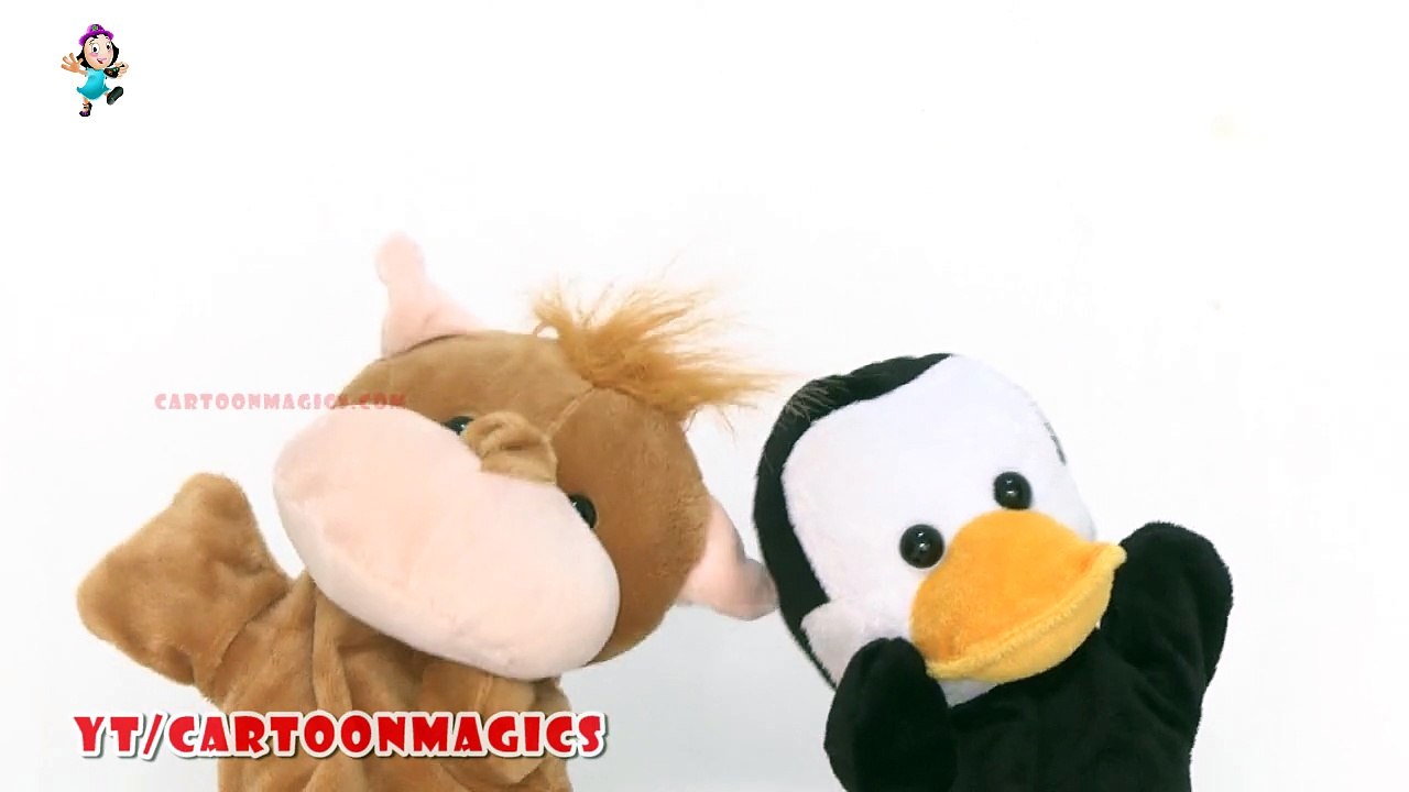 Baa Baa Black Sheep - Funny  Hippopotamus and Penguin puppets children rhymes Learning English Kids Songs