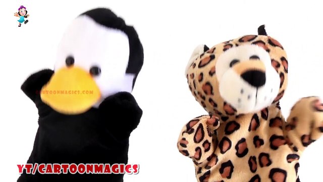 Baa Baa Black Sheep - Funny Penguin & Tiger puppets children rhymes