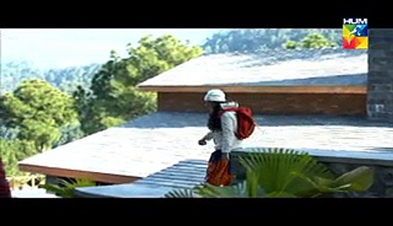 Jugnoo Episode 16 on Hum Tv Drama 31 July 2015