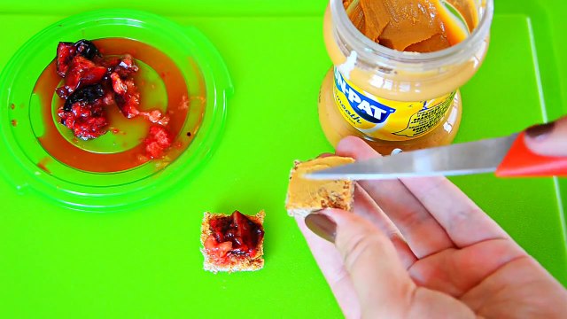PEANUT BUTTER & JAM SANDWICH TREATS | Baking For Pets