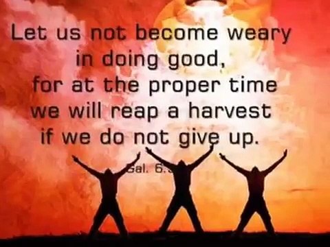 dare to believe sgi soka gakkai