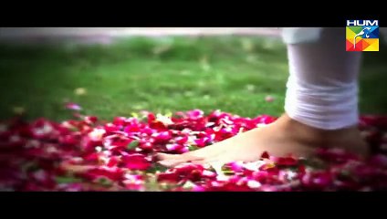 Akeli Video OST - Full Title Song [HQ]