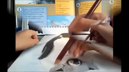 Hoy vamos a dibujar : un tucán