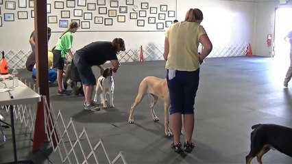 Aria's First handling class