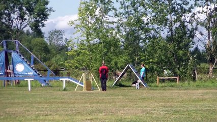 Шулькевич Надежда и ВЕО Сталкер в командных ОКД в петергофе 19.07.15