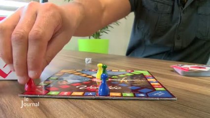 Jeu de société. Vendée Cube : La Vendée en 400 questions