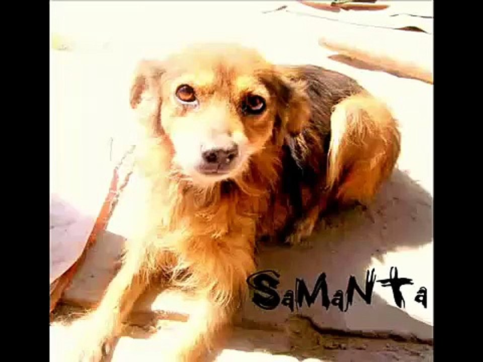 samantha...la ladrona