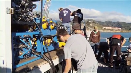 Careers in Diving - Interview with Commercial Diver Eric Woltjen