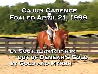 Cajun Cadence 2
