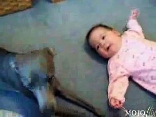 IL BAMBINO PIANGE E IL CANE .....avi
