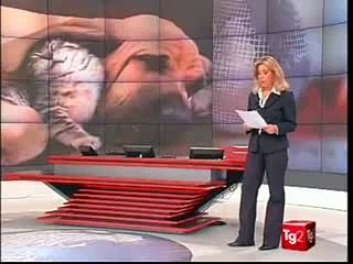 Cane sfida il fuoco per salvare 4 gattini     Laverabestia.org - Animal Video Community.avi