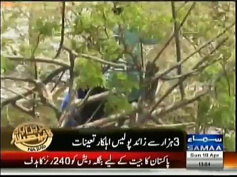 PTI Imran Khan Zani members CUT TREES for Imran Khan Jalsa NA246 Karachi