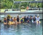 Roatan Honduras (Dolphin Dive) 2006