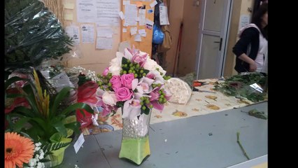 Pogrebno drustvo - Himmel AG