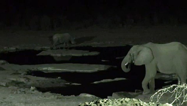 Etosha waterhole in the night (Namibian anthem)