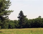 Avvistamento di uno strano volatile al Parco delle Cave!