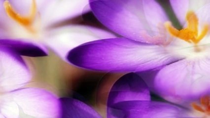 Era de  maggio .•*❤*•.  Andrea Bocelli  duet with Anna Bonitatibus