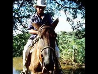 jorge guerrero. al cafe y a los caballos.