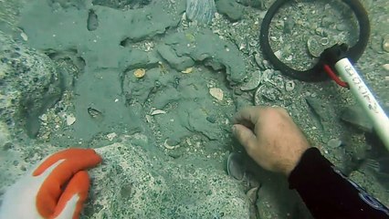 Okyanus Dibinde 1 Milyon Dolar Değerinde Hazine Bulan Adam