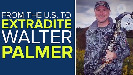 Zimbabwe Wants The U.S. To Extradite The Lion-Killing Dentist