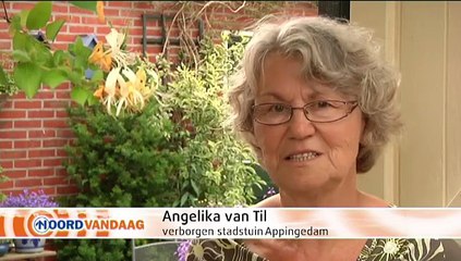 Mien Toentje: Stadstuinen in Appingedam - RTV Noord
