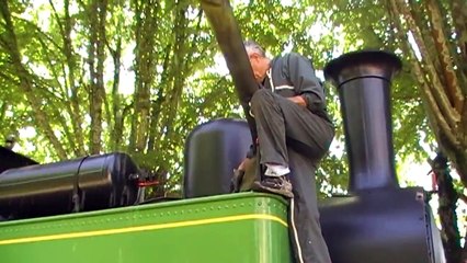 Train touristique de Guîtres (33)