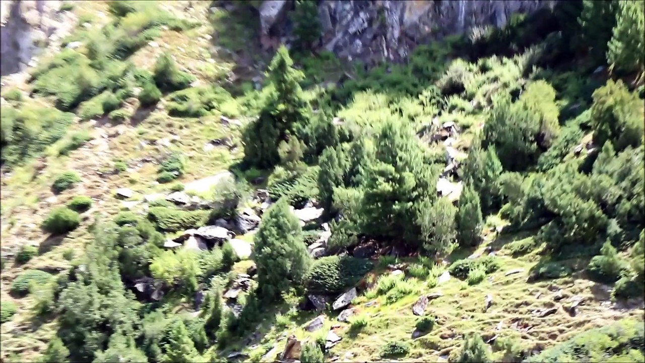 Rakaposhi Peak/Base Karakoram mountain range Nagar Valley