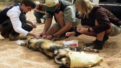 RSF - Endangered Wildlife Trust - South Africa
