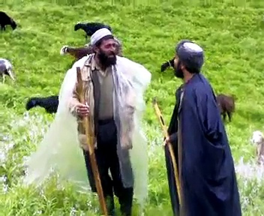 الراعي والربيع
