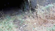 Disused tunnel urbex- Stalybridge New Tunnel