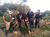 caceria de jabali equipo los chanchines -uruguay