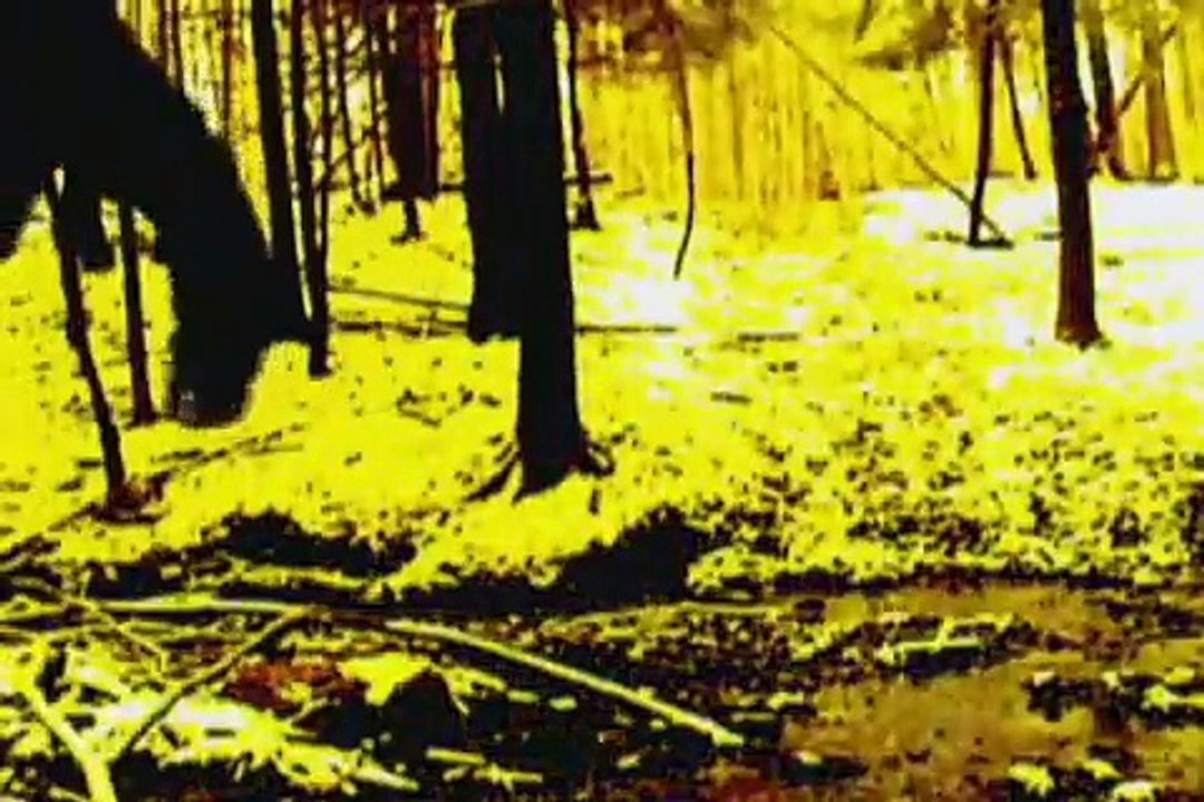 Yellow - BEST MUSIC VIDEO