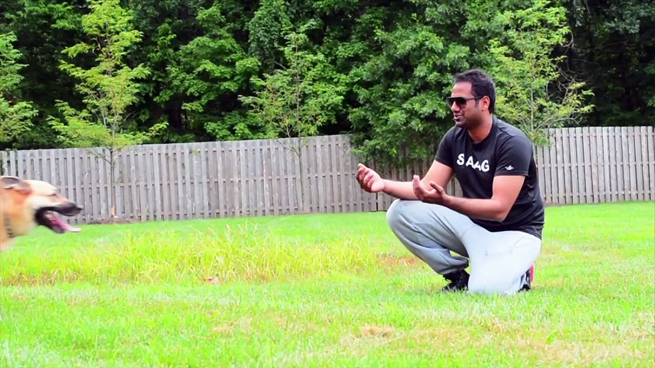 SOUTH ASIAN AFFINITY GROUP