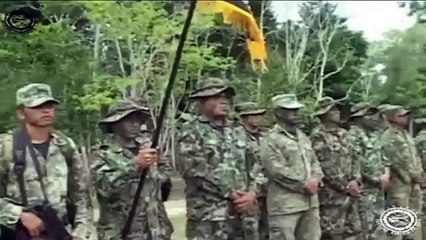 Fuerzas Especiales Entrenamiento En Selva