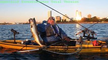 Kayak Fishing For Fall King Salmon
