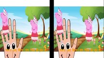 ♥ Peppa Pig Nursery Rhymes   Kids Favorite Peppa Pig Finger Family Rhyme   3D Cartoon Animat