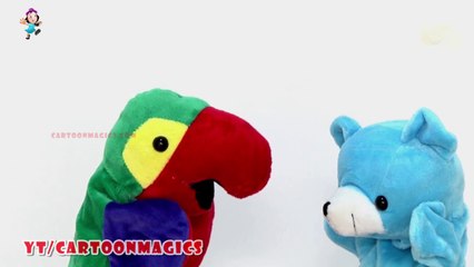 Happy Birthday To You Song - Funny Parrot and Panda puppets children rhymes