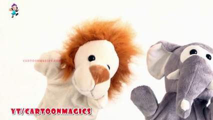 Hickory Dickory Dock - Funny  Lion and Elephant puppets children rhymes Learning English Kids Songs
