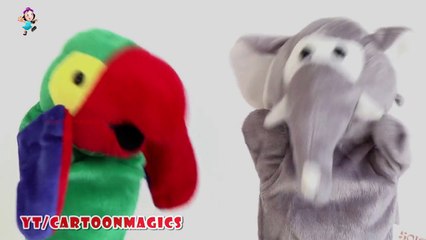 Funny Parrot & Elephant puppets children rhymes