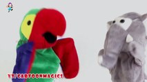 humpty dumpty sat on a wall - Funny Parrot & Elephant puppets children rhymes Kids rhymes