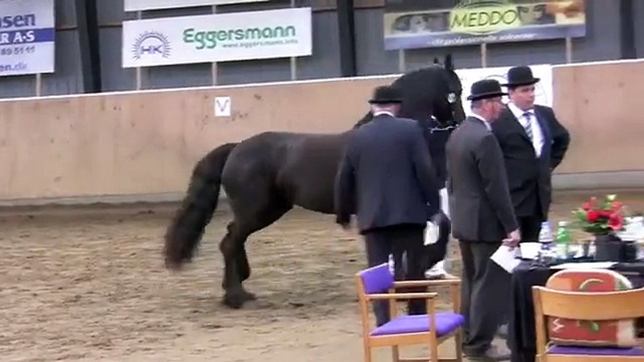 Kåring Vest Hedensted 2010 - Stutteri Birkemose
