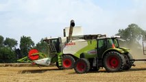 Żniwa 2014 - New Claas Tucano