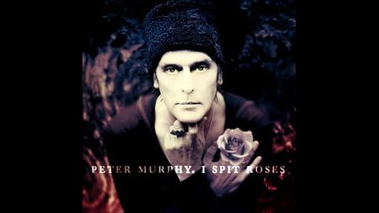 Peter Murphy - The Prince & Old Lady shade