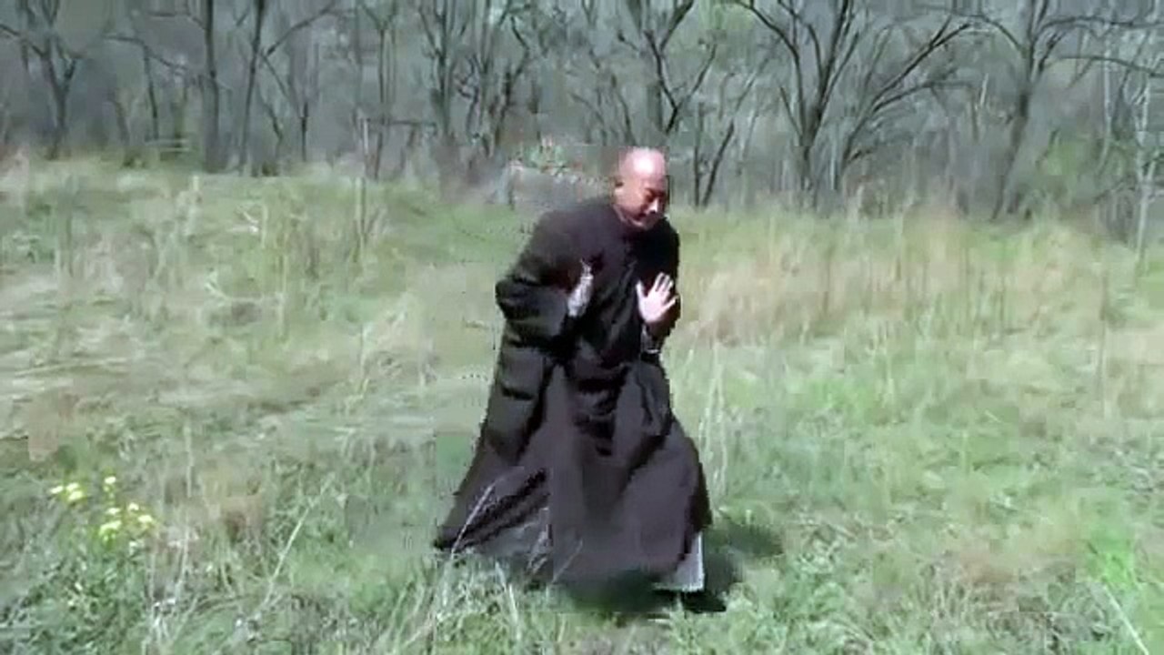 Shaolin dragon kung fu