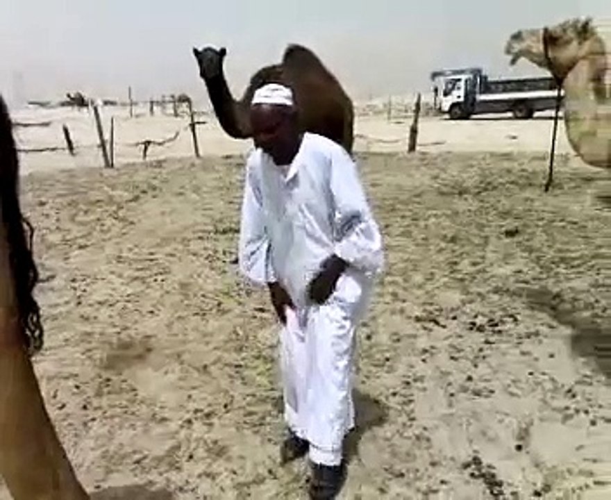 الزول ههههههههههههههههههههه زق عليه بعير